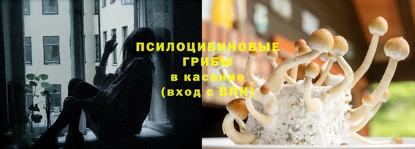 наркотики Алексин