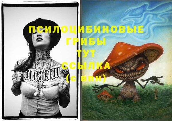 MDMA Premium VHQ Елабуга