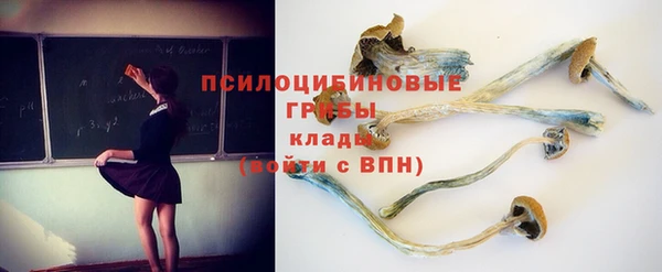 наркотики Алексин