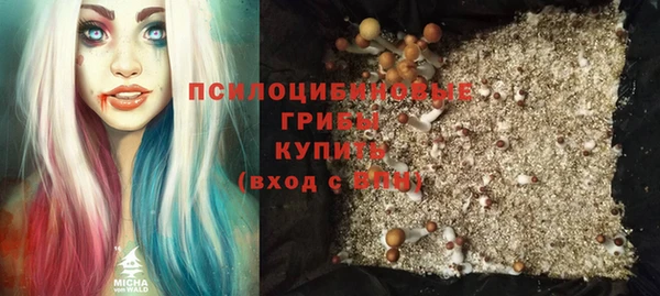 2c-b Алексеевка