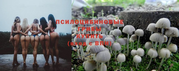 ALPHA PVP Горняк